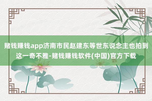 赌钱赚钱app济南市民赵建东等世东说念主也拍到这一奇不雅-赌钱赚钱软件(中国)官方下载